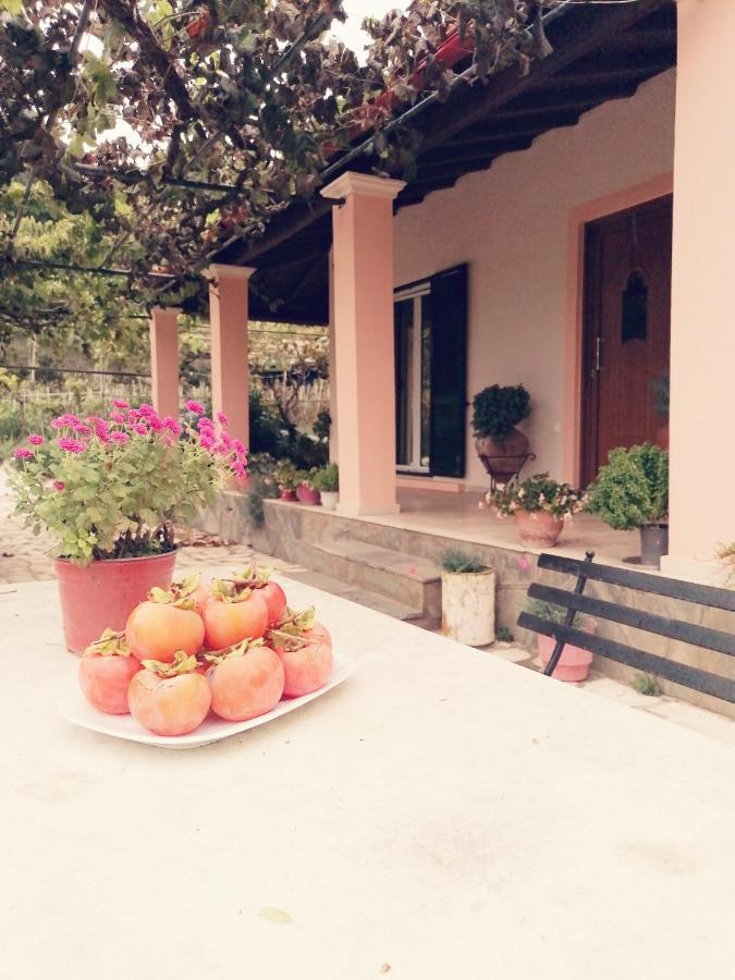 度假居 Yard Family Sidari Corfu
