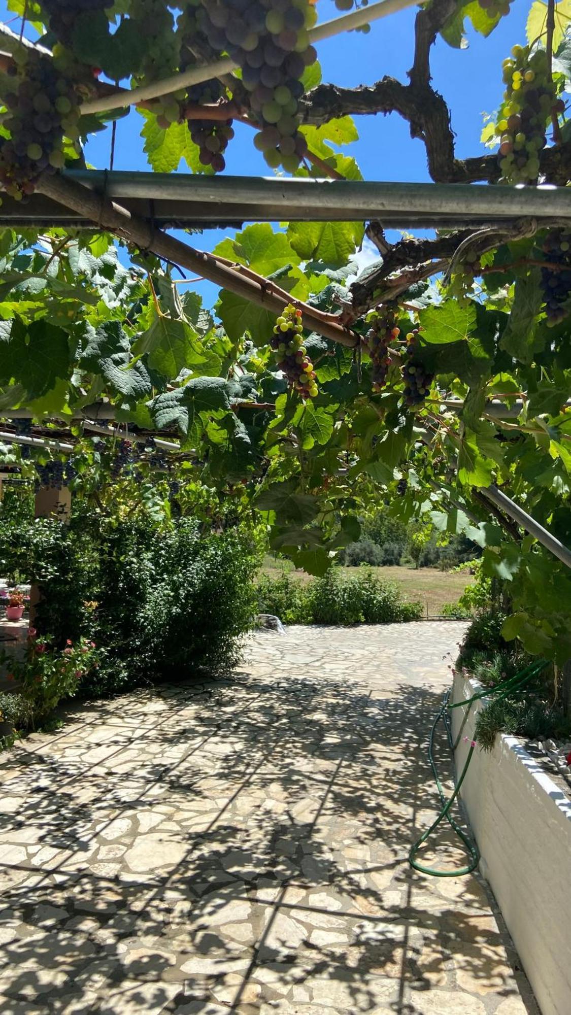 Yard Family Sidari Corfu Hébergement de vacances Antipernoi