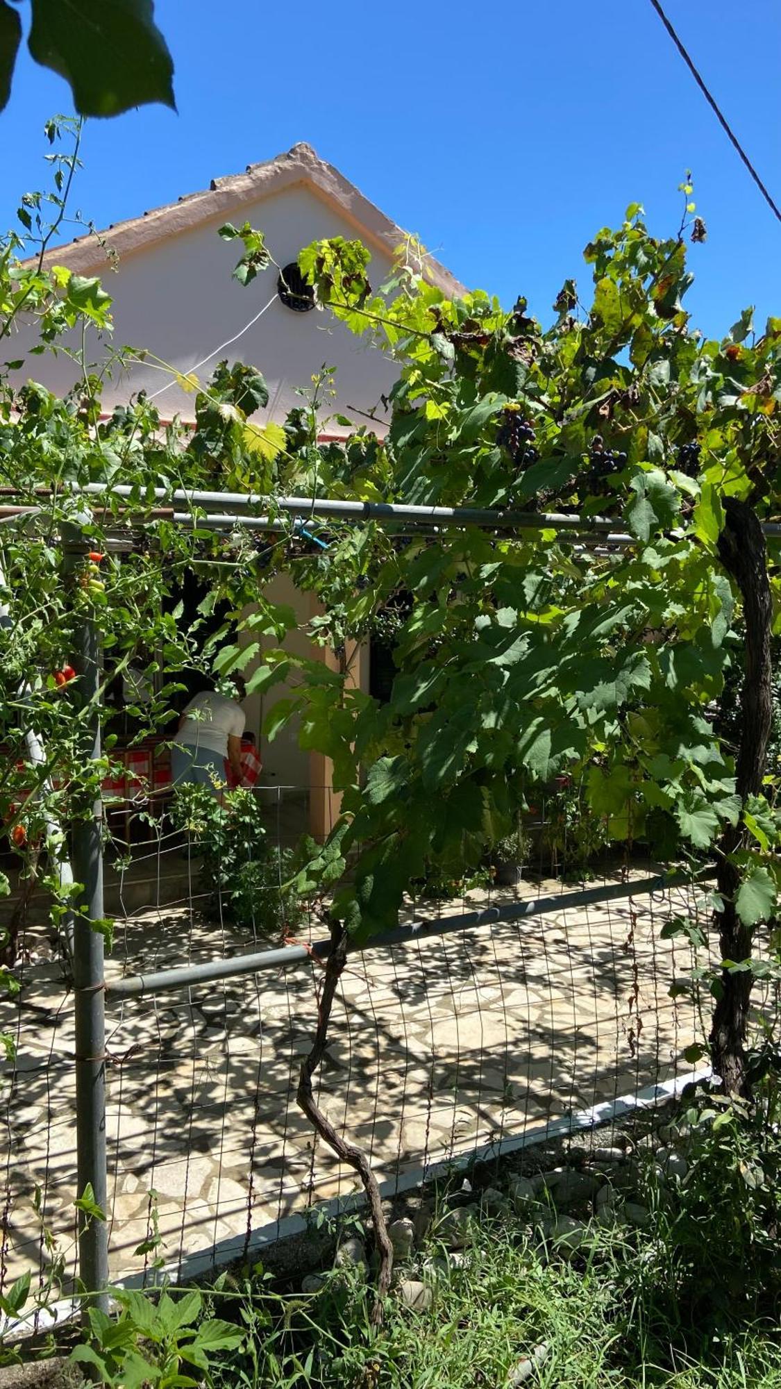 Yard Family Sidari Corfu Holiday home