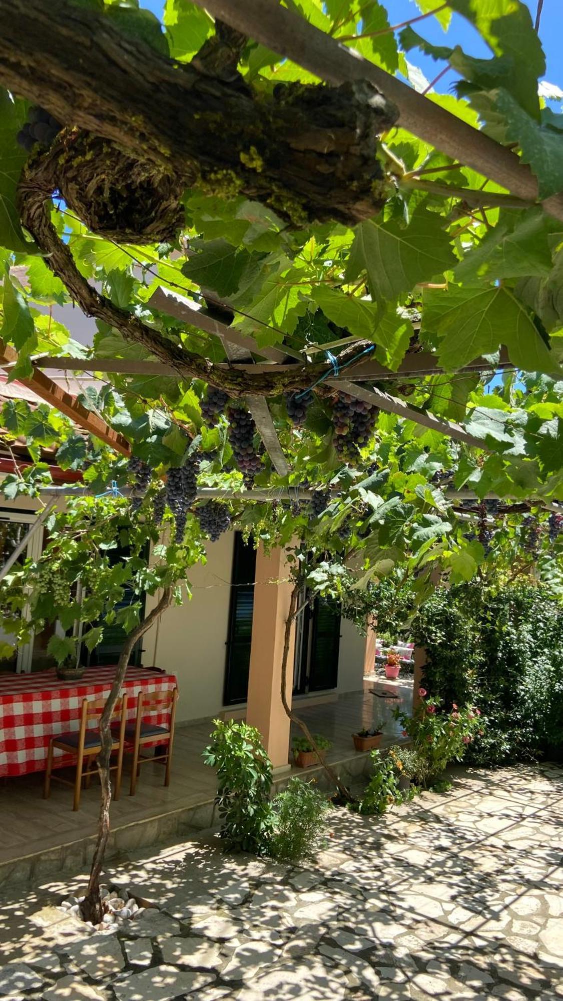 Holiday home Yard Family Sidari Corfu *