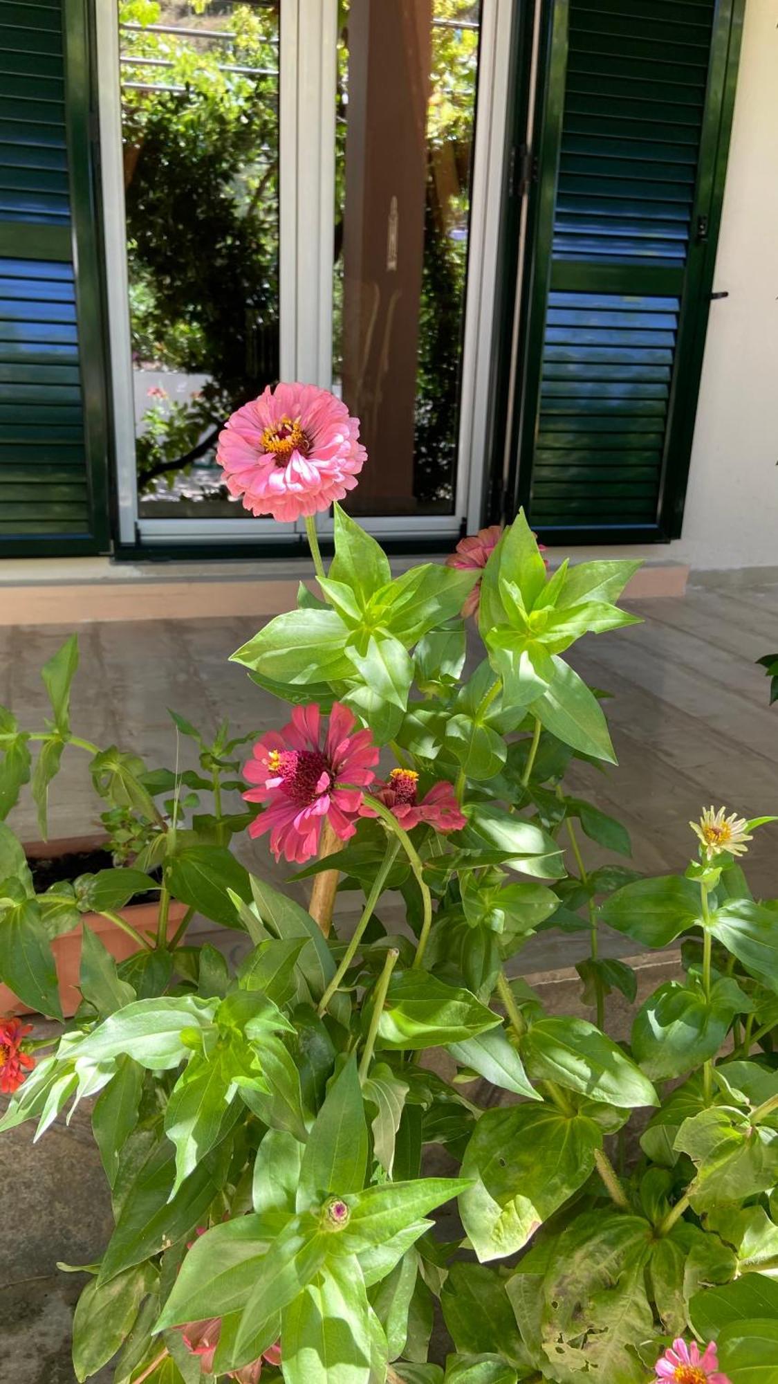 Holiday home Yard Family Sidari Corfu *